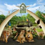 Pemilik Taman Safari Indonesia Sejarah, Peran, dan Dampaknya bagi Konservasi Satwa