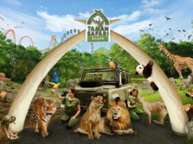Pemilik Taman Safari Indonesia Sejarah, Peran, dan Dampaknya bagi Konservasi Satwa
