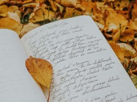 Puisi Tentang Lingkungan Cara Kata-Kata Menjaga Alam dan Kesadaran Kita