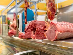 Update Harga Daging Sapi Hari Ini di Indonesia 2026