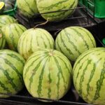 Harga Semangka 1 Kg di Indonesia: Update Terbaru dan Faktor yang Mempengaruhinya