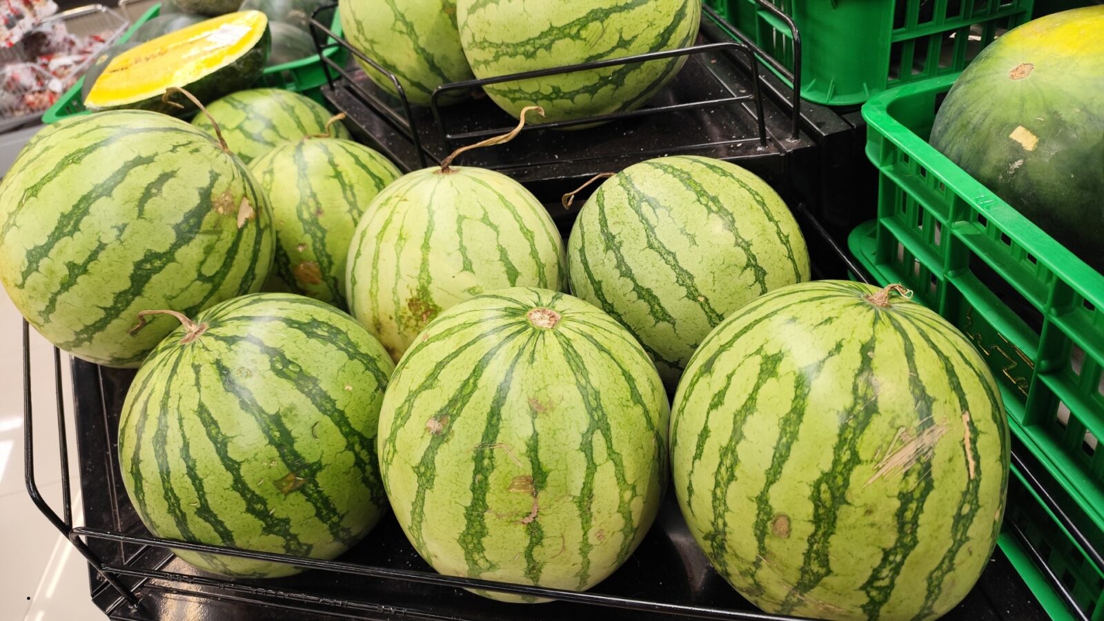 Harga Semangka 1 Kg di Indonesia: Update Terbaru dan Faktor yang Mempengaruhinya