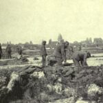 Perang Dunia: Sejarah, Penyebab, dan Dampaknya bagi Dunia Modern