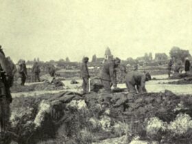 Perang Dunia: Sejarah, Penyebab, dan Dampaknya bagi Dunia Modern