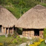 Rumah Adat Papua Barat: Keunikan Arsitektur dan Nilai Budaya yang Mendalam