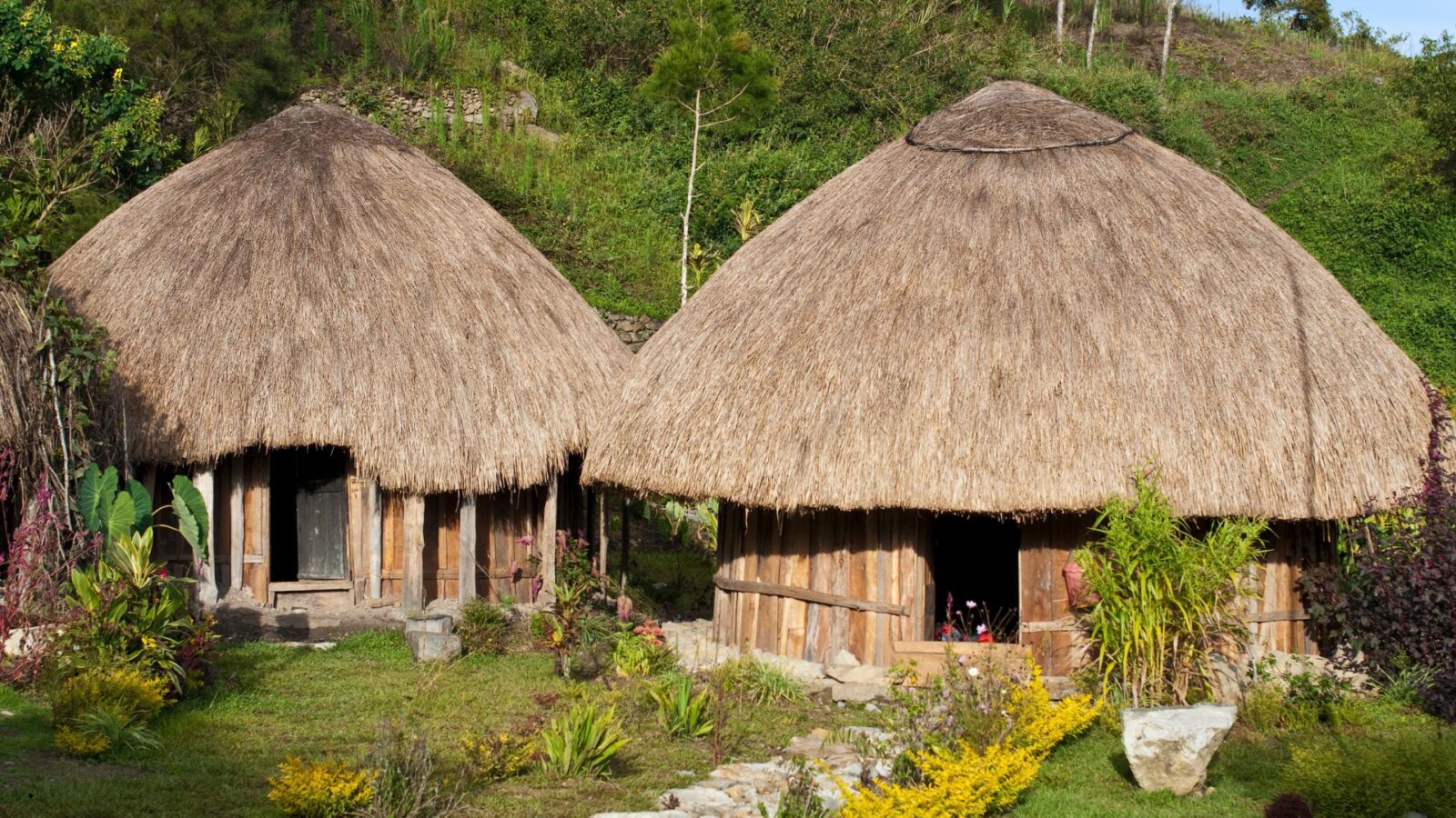 Rumah Adat Papua Barat: Keunikan Arsitektur dan Nilai Budaya yang Mendalam