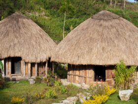 Rumah Adat Papua Barat: Keunikan Arsitektur dan Nilai Budaya yang Mendalam
