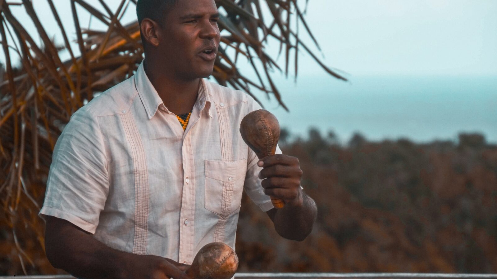 Marakas Alat Musik Ritmis: Pengertian, Cara Memainkan, dan Fungsinya dalam Musik