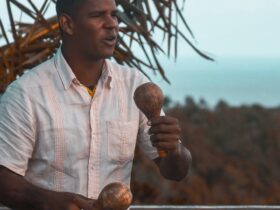 Marakas Alat Musik Ritmis: Pengertian, Cara Memainkan, dan Fungsinya dalam Musik