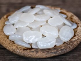 Manfaat Buah Kolang Kaling untuk Kesehatan dan Cara Mengolahnya yang Benar