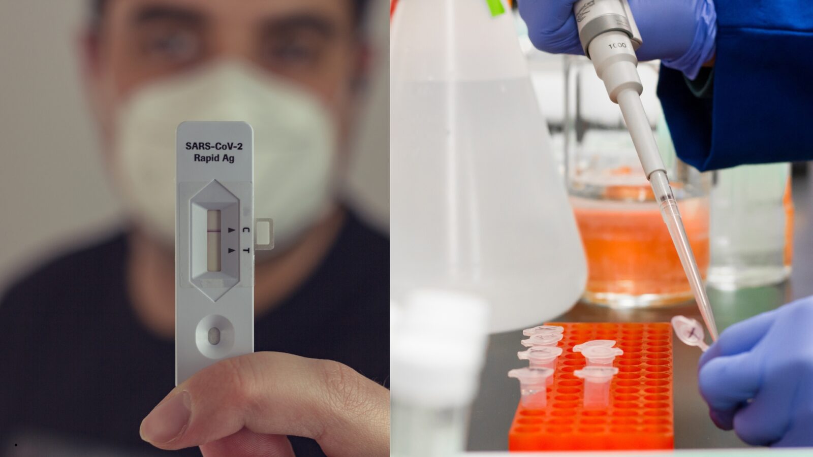 Rapid Antigen vs PCR Perbedaan, Kegunaan, dan Kapan Harus Pakai di 2026