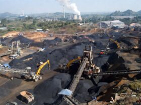 Manfaat Batubara bagi Indonesia dan Penggunaannya di Berbagai Sektor