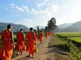 Mengenal Biksu Thudong dan Tradisi Perjalanan Spiritual Mereka