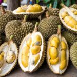 10 Jenis Durian Paling Populer di Indonesia dari Montong hingga Bawor